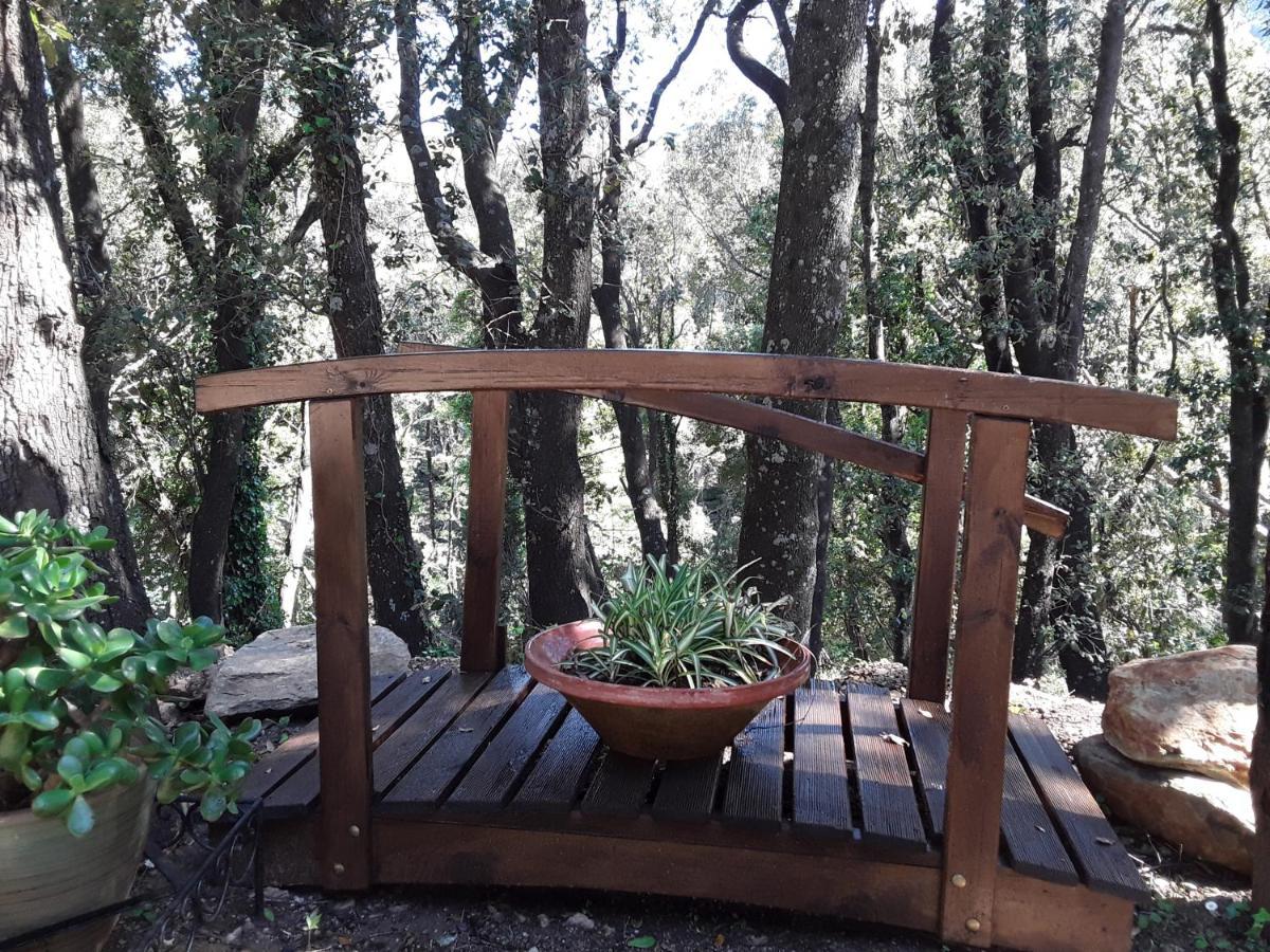 Pietracorbara Les Chenes Apartment Oreta Bagian luar foto