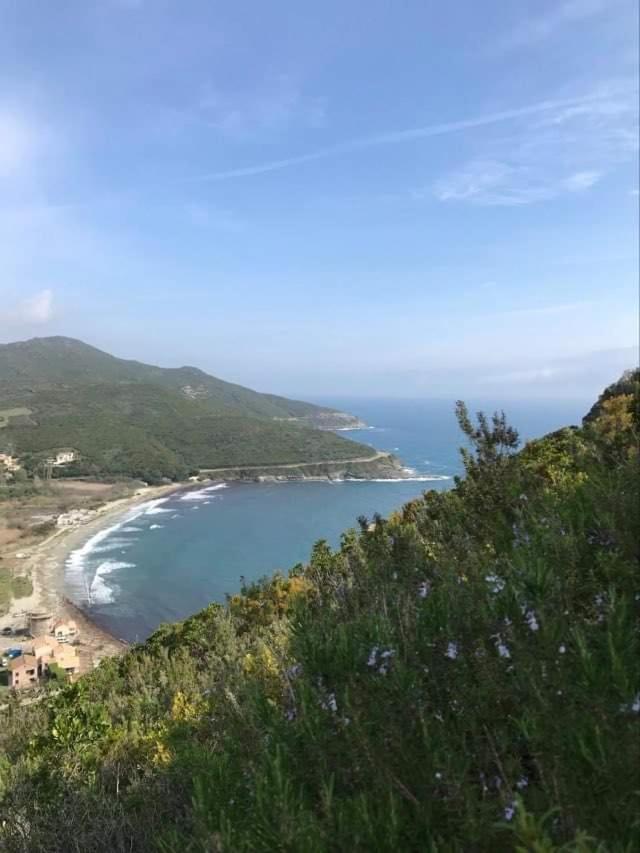 Pietracorbara Les Chenes Apartment Oreta Bagian luar foto