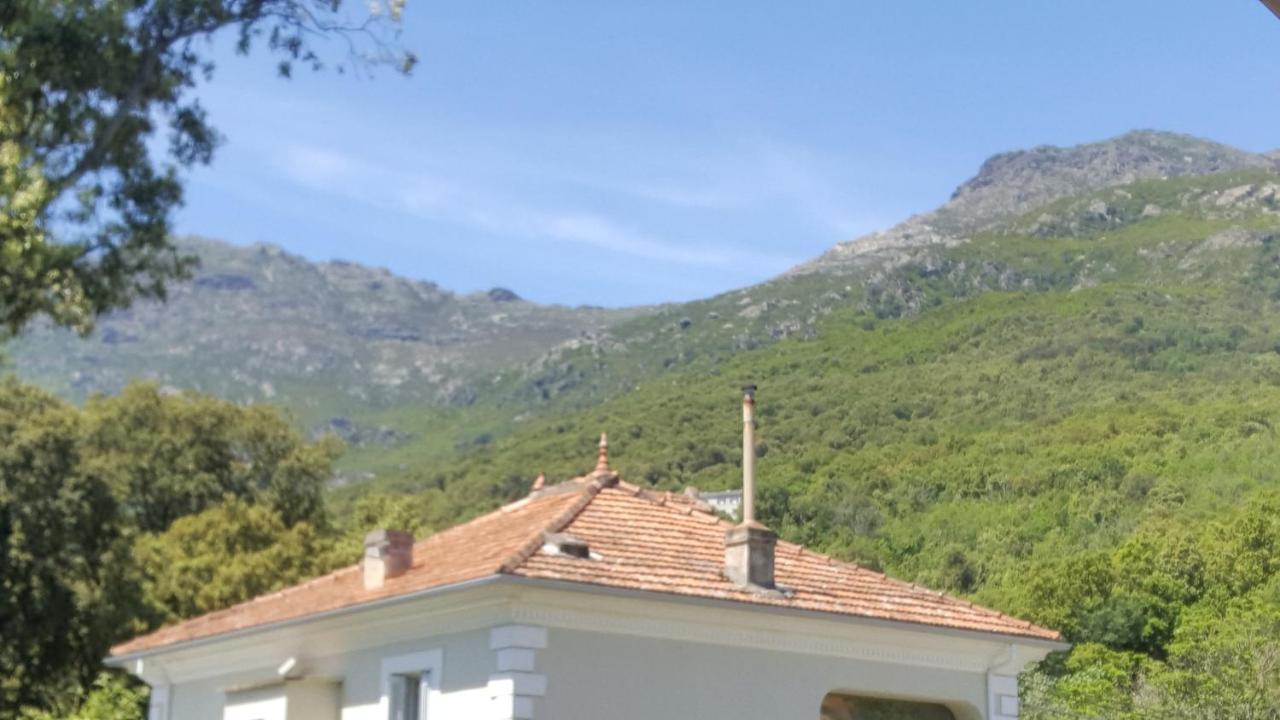 Pietracorbara Les Chenes Apartment Oreta Bagian luar foto