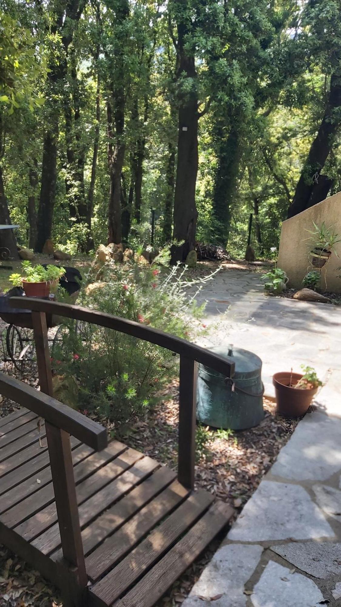 Pietracorbara Les Chenes Apartment Oreta Bagian luar foto