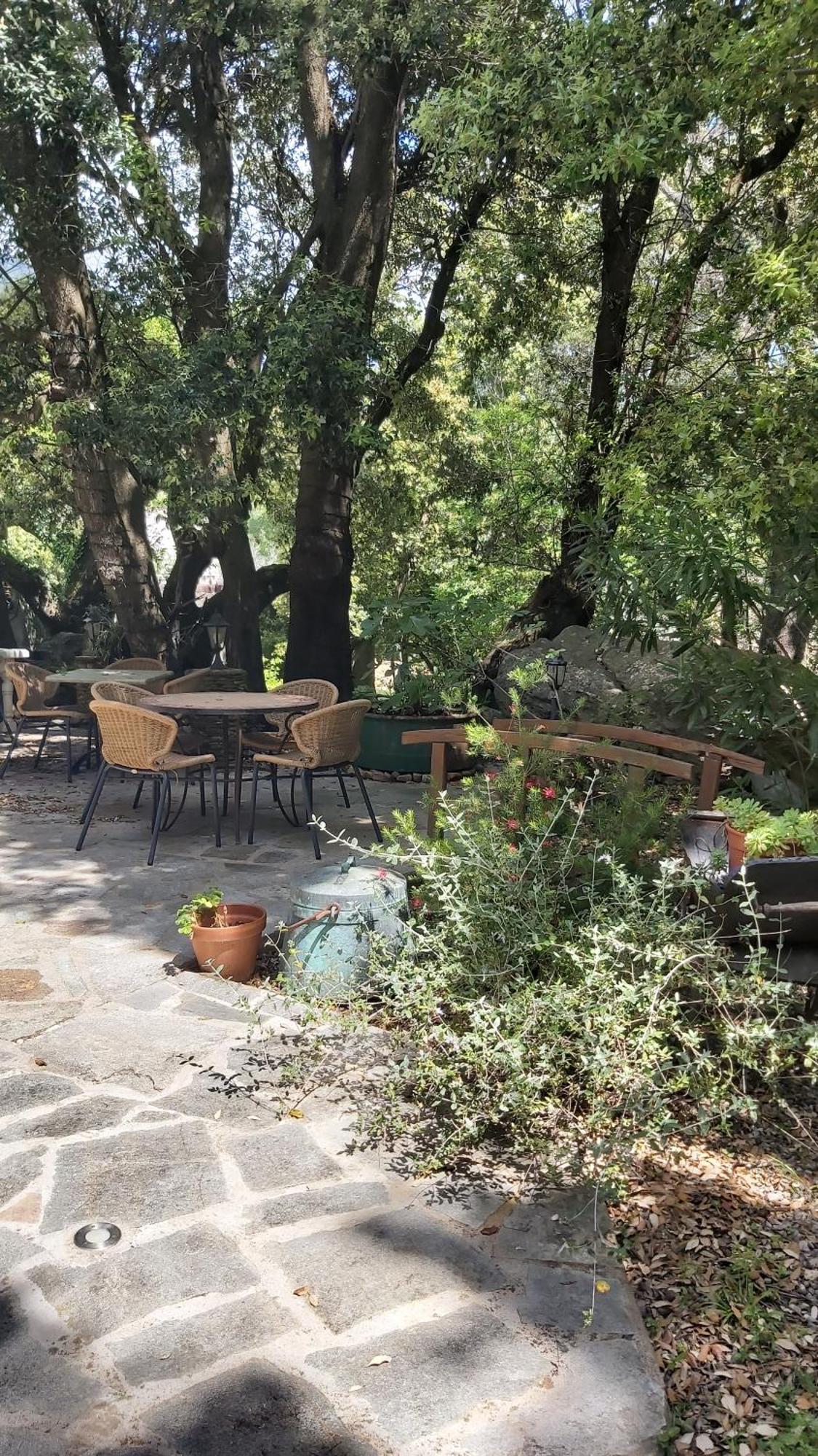 Pietracorbara Les Chenes Apartment Oreta Bagian luar foto